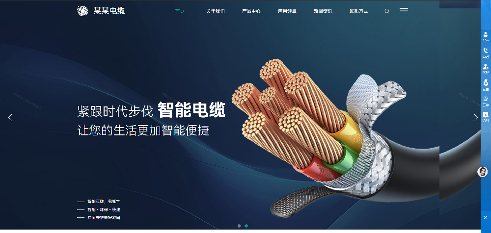 网站开发